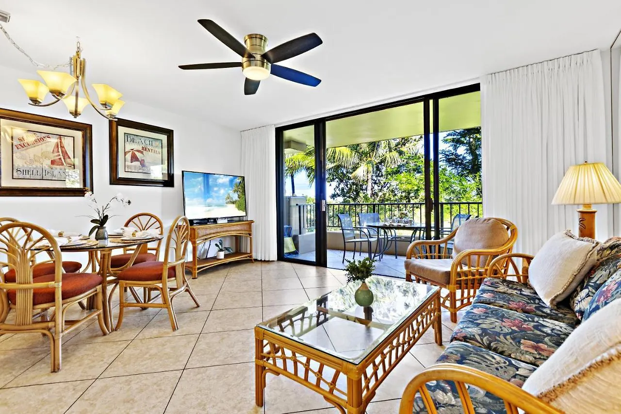 Holiday home Paki Maui 326 Villa Kahana United States